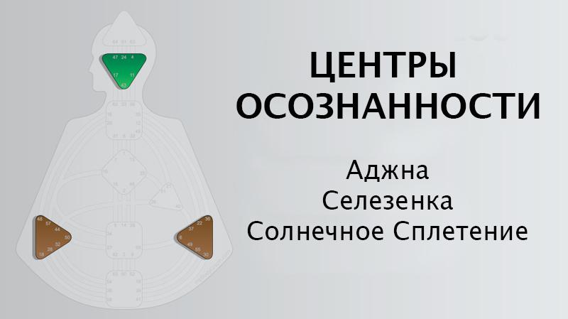 центры осознанности в Дизайне Человека центры осознанности в Дизайне Человека
