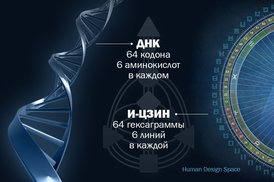 ворота дизайн человека