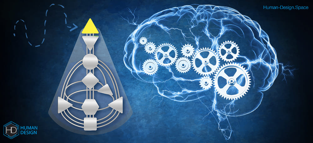 Стоит ли повышать свой IQ