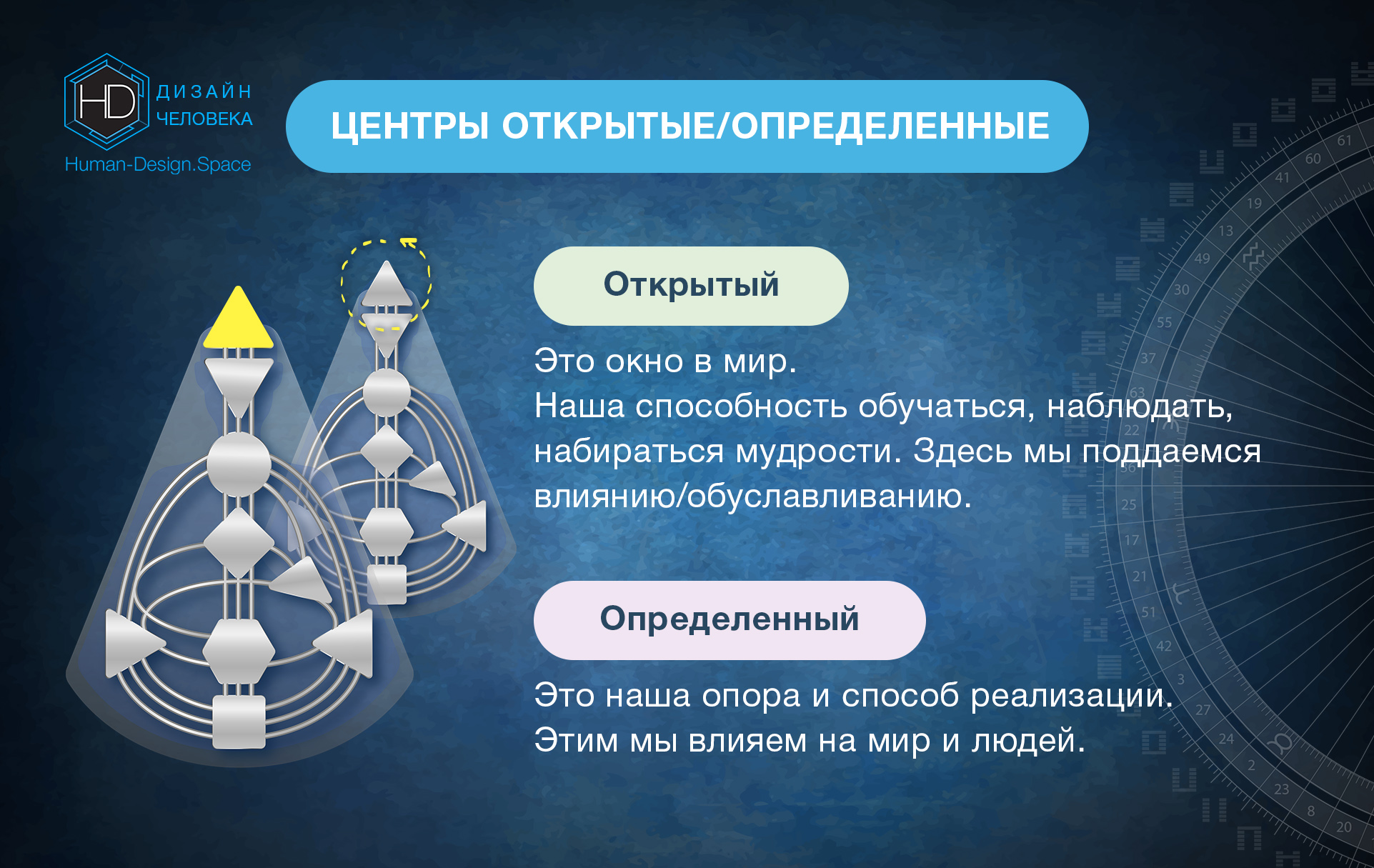 Определенные и неопределенные центры дизайн человека Определенные и неопределенные центры дизайн человека